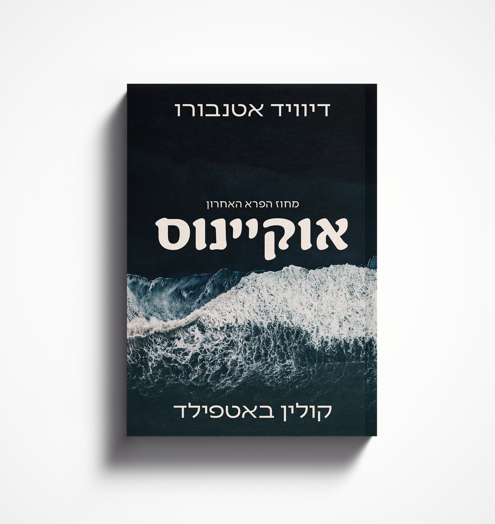 תמונת מוצר 4
